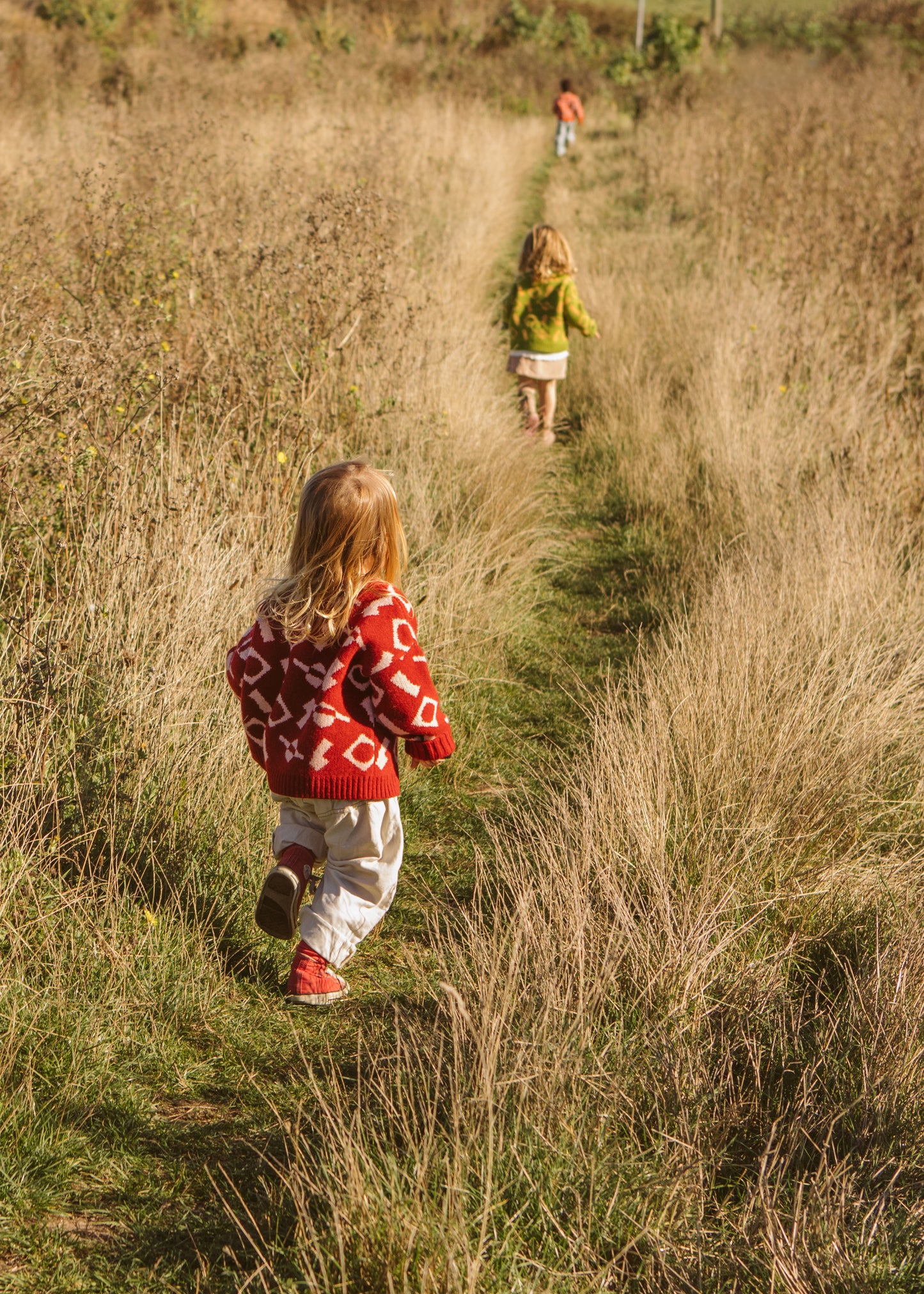 The Explorer - Red Wool Jumper