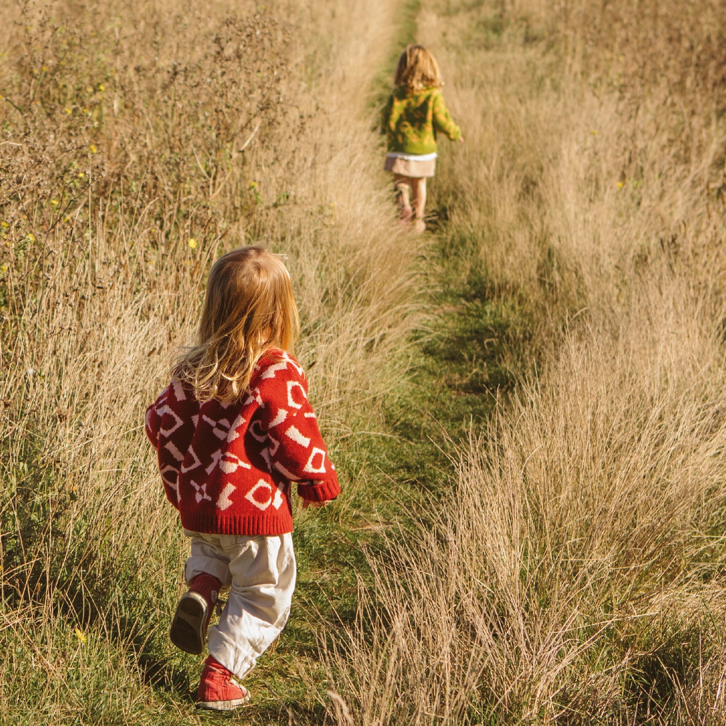 The Explorer - Red Wool Jumper